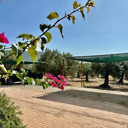 Дом отдыха Hermione Hills Luxury By Goutos Luxury Living Agia Anna (Argolis)