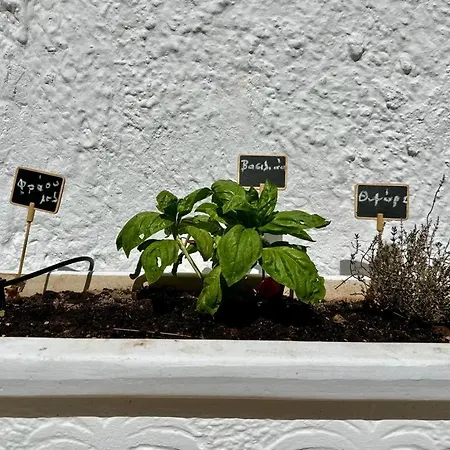 Hermione Hills Luxury By Goutos Luxury Living Дом отдыха *